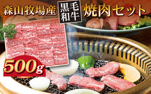 きめ細かく柔らかい肉質 黒毛和牛 焼肉セット 500g 焼肉用 肩ロース モモ バラ 和牛 牛肉 | 森山牧場 焼肉セット500g 焼肉 焼き肉 _b-444佐賀県多久市13000肉牛肉