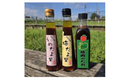 手作りドレッシングと焼肉のたれ 計700ml【1665858】愛知県新城市8000調味料・油ドレッシング