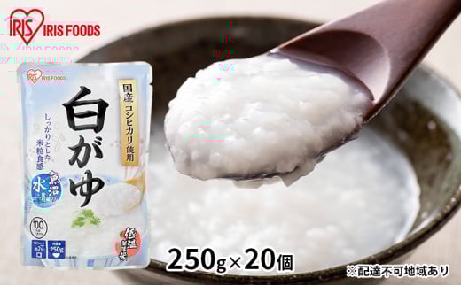 yhЁz  250g×20 ACXI[} HHi y gg ~  ~ hЃObY hЗpi ቷ@ċ{錧͌10000ZbgE؁EHHi