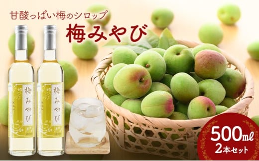 ~݂сi~Vbvj500ml×2{Zbg{錧͌12000E|
