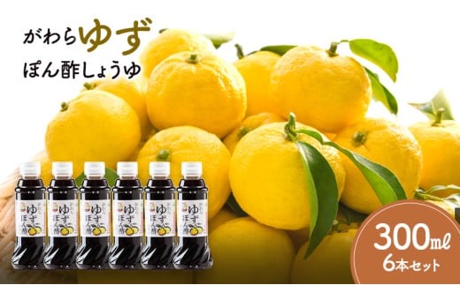 䂸ۂ|傤300ml×6{Zbg{錧͌14000E|