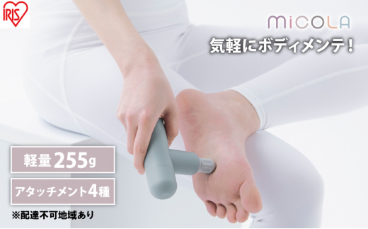 nfBK y MiCOLA r[eB[PAK FRT-M01-A u[  ACXI[} [XK ^ RpNg ~R {fBPA [d USB-typeC |[`t{錧͌27000diƓd
