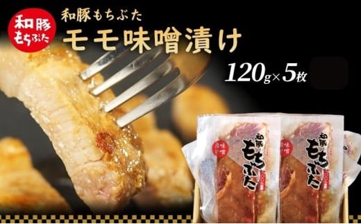 和豚 もちぶた モモ 味噌漬け 120g×5枚 もち豚 豚肉 ポーク お肉 肉 豚 ぶた ブタ もも肉 精肉 加工肉 アウトドア宮城県大河原町5000肉豚肉