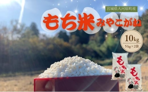 令和7年産 宮城県大河原町産 みやこがね 10kg ( 5kg × 2袋 ) もち米 米 餅米 令和7年 宮城県産宮城県大河原町26000米・パン玄米・雑穀米・もち米・餅