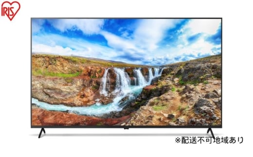 65V型 4Kスマート液晶テレビ LT-65UGX-F1 ブラック テレビ 液晶テレビ 65v 型 4K インターネット対応 スマートテレビ GoogleTV チューナー内蔵 動画配信サービス 音声検索 音声操作 Wチューナー tv 65