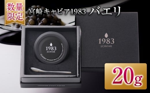 ʌ {LrA1983 oG 20g   L LrA Y Y ܂ EO咿 _C ґ  ㎿ J j LO yY  Mtg p[eB[ I[