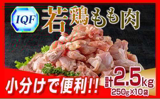 小分け 便利 カット済 若鶏 もも肉 計2.5kg 250g × 10袋 鶏肉 国産 おかず お弁当 おつまみ 食品 IQF冷凍 バラバラ凍結 チキン 簡単調理 から揚げ 唐揚げ 親子丼 チキンカレー 人気 おすすめ グル