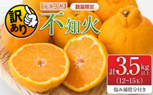 先行予約 訳あり 海藻木酢 不知火 計3.5kg以上 傷み補償分付き 期間限定 数量限定 フルーツ 果物 くだもの 柑橘 みかん 訳アリ 国産 食品 デザート おやつ おすそ分け おすすめ ご家庭用 ご自