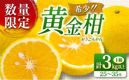 先行予約 新感覚シトラス 黄金柑 おうごんかん 計3kg以上 令和8年発送 期間限定 数量限定 希少 果物 くだもの フルーツ 国産 食品 柑橘 みかん 蜜柑 ゴールデンオレンジ デザート おやつ おす