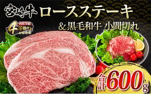 宮崎牛 ロース ステーキ 黒毛和牛 小間切れ セット 合計600g 牛肉 ビーフ 国産 万能食材 ブランド牛 おかず お弁当 おつまみ 食品 おすすめ 焼肉 バーベキュー 鉄板焼き 高級 ご褒美 お祝 記念