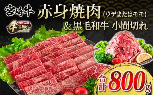 宮崎牛 赤身 焼肉 黒毛和牛 小間切れ セット 合計800g 牛肉 ビーフ 国産 うで もも ブランド牛 人気 おすすめ 万能食材 食品 お取り寄せ グルメ 詰め合わせ 贅沢 ご褒美 お祝い 記念日 おかず