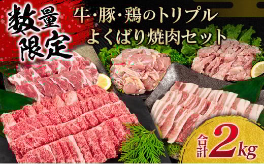 数量限定 牛肉 豚肉 鶏肉 トリプル よくばり 焼肉 セット 合計2kg 宮崎牛 ブランド牛 黒毛和牛 国産 食品 高級 贅沢 ご褒美 お祝 人気 おすすめ おかず お弁当 BBQ キャンプ グランピング お取