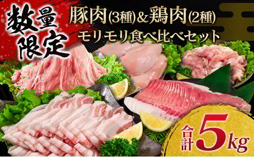 ʌ ؓ 3 { 2  Hה Zbg v5kg ؃o ،[X ؃Ef ؃ { {ނ Y XCX ؂藎Ƃ Hi ٓ  ē Ԃ g 
