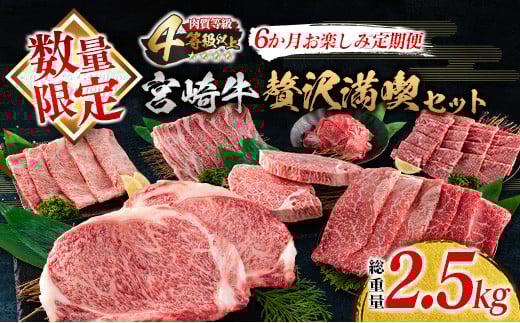 数量限定 6か月 お楽しみ 定期便 宮崎牛 贅沢 満喫 セット 総重量2.5kg 黒毛和牛 ブランド牛 牛肉 国産 ビーフ 人気 食品 焼肉 ステーキ スライス 小間切れ しゃぶしゃぶ すき焼き ミヤチク お