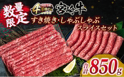 ʌ {苍 Ă Ԃ XCX Zbg v850g  r[t јa Y uh Ԑg Hi   ؂ Hה A4N 4ȏ  J j
