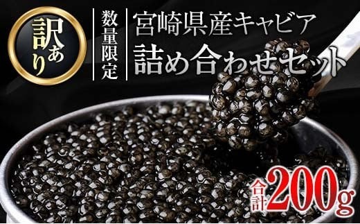 訳あり 数量限定 5つ星ホテル採用 宮崎県産 キャビア 詰め合わせ セット 合計200g 魚卵 魚介 魚貝 国産 熟成 新鮮 高級 希少 食品 三大珍味 黒いダイヤ おすすめ 水産物 おつまみ ご褒美 お祝