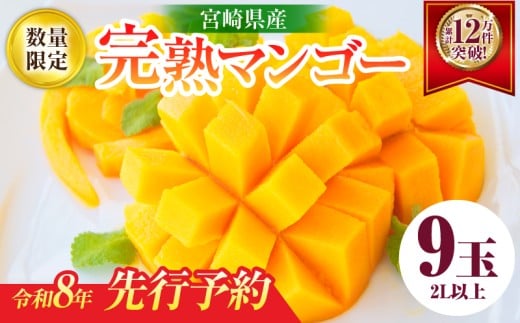 s[^[o!!{茧Y n }S[ 2Lȏ×9 ߘa8N ʌ t[c ʕ ʏ`  Z W[V[ ґ ㎿ J lC Y Hi  fU[g Yn 