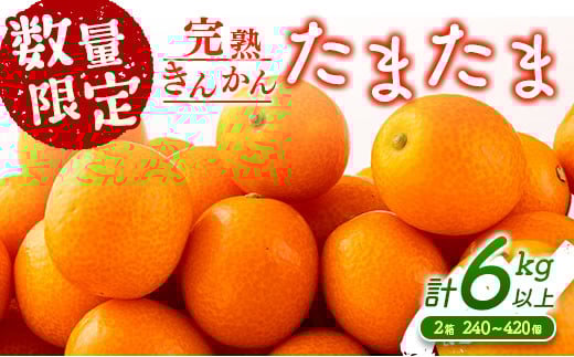 s\ n񂩂 ܂ v6kgȏ (3kg×2)  Ԍ ʌ t[c ʕ  k  Y Hi 嗱 {uh  fU[g  Mtg 蕨 