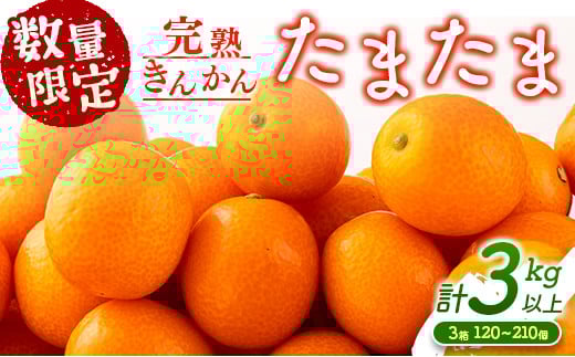 s\ n񂩂 ܂ v3kgȏ (1kg×3)  Ԍ ʌ t[c ʕ  k  Y Hi 嗱 {uh  fU[g  Mtg 蕨 