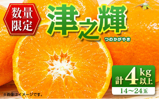 先行予約 津之輝 つのかがやき 4kg以上 (2kg×2箱) 希少 期間限定 数量限定 フルーツ 果物 くだもの 柑橘 みかん 令和8年発送 国産 食品 おすすめ デザート おやつ みかんジュース フルーツサン