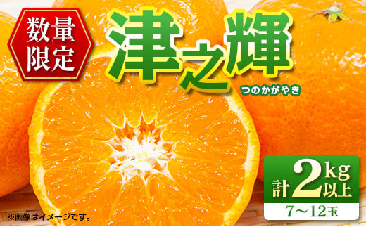 先行予約 津之輝 つのかがやき 2kg以上 (2kg×1箱) 希少 期間限定 数量限定 フルーツ 果物 くだもの 柑橘 みかん 令和8年発送 国産 食品 おすすめ デザート おやつ みかんジュース フルーツサン