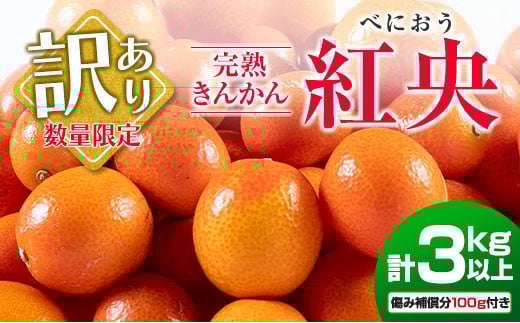 先行予約 訳あり 完熟 きんかん 紅央 計3kg以上 傷み補償分付き 数量限定 期間限定 訳アリ フルーツ 果物 くだもの 柑橘 金柑 おすすめ おすそ分け 国産 食品 デザート ブランド 希少 ご家庭