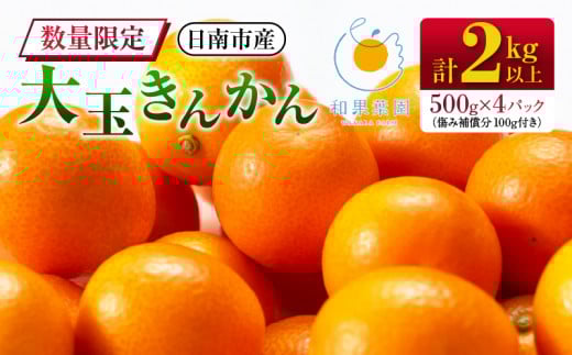 食べ応え抜群 大玉 きんかん 計2kg以上 傷み補償分付き 数量限定 期間限定 フルーツ 果物 くだもの 柑橘 金柑 先行予約 国産 希少 人気 おすすめ ジャム おやつ デザート 小分け おすそ分け