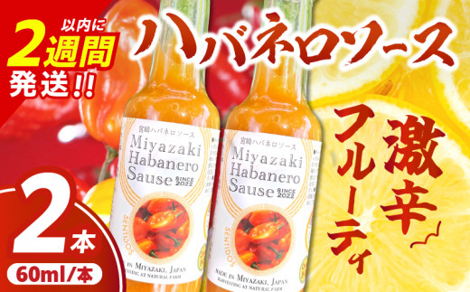 爽やか激辛食感 フルーティなハバネロソース 数量限定 宮崎 ハバネロ ソース 計2本 激辛ソース 調味料 おすすめ 加工品 オリジナル ブレンド 肉料理 パスタ ピザ ギフト プレゼント 贈り物