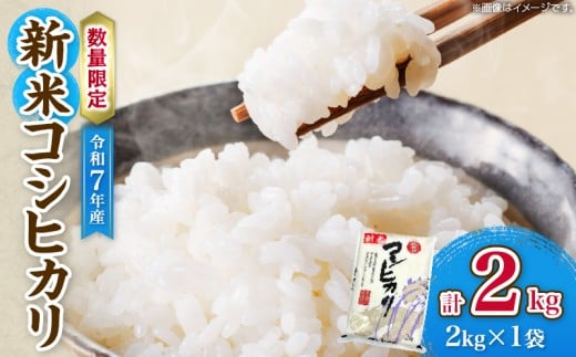 令和7年産 新米 コシヒカリ 計2kg お米 ご飯 ライス 国産 数量限定 人気 食品 精米 白米 こしひかり 有洗米 おにぎり お弁当 炊き込みご飯 雑炊 ギフト プレゼント 贈り物 お取り寄せ 産地直送