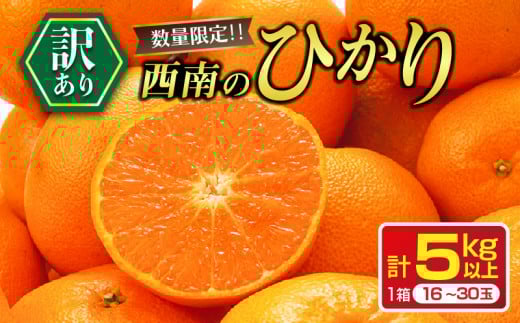 年内お届け 先行予約 訳あり 西南のひかり 計5kg 希少 期間限定 数量限定 みかん オレンジ フルーツ 果物 くだもの 柑橘 国産 食品 デザート おやつ みかんジュース フルーツサンド おすそ分