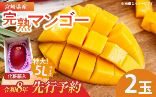 特大5Lサイズ 宮崎県産 完熟マンゴー 2玉 化粧箱入り 令和8年発送分 期間限定 数量限定 フルーツ 果物 くだもの 国産 食品 デザート おすすめ ご褒美 贅沢 産地直送 特大 希少 お祝 お土産 プ