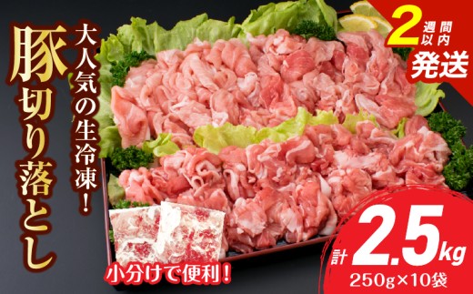 lC Ⓚ I ؐ؂藎Ƃ v2.5kg Y Hi ؓ Ԃ |[N   ^pbN ֗ e IĂ u ؏` Ⴊ ؘ ٓ  ӂ  g؂