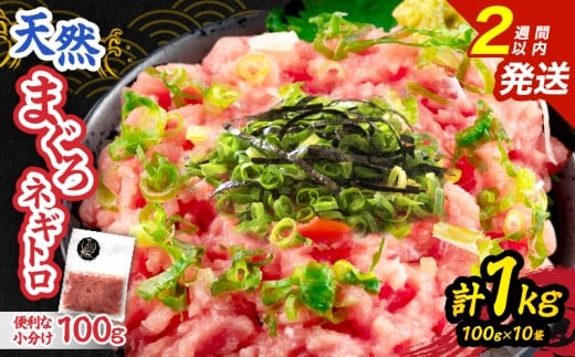sÍ`g VR ܂ lMg v1kg   }O  Ԑg maguro  Hi Hi Y Ln_}O ܂낽   ˂Ƃ똥 CN 芪i ܂ 