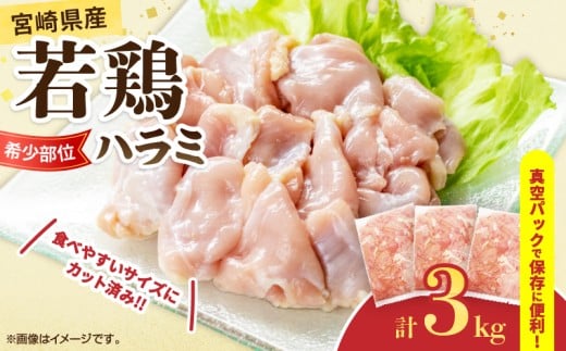 󏭕 {茧Y { n~ v3kg { Ƃ  Y  ^pbN  ٓ ܂ Hi `L ȒP { Ă ē uߕ g g `LJ[  