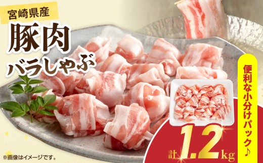 {茧Y ؓ o v1.2kg Y Hi ؃o XCX Ԃ ₵  uߕ ؘ ē BBQ   pbN   ٓ ӂ y ֗ \H Mtg