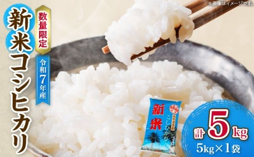 令和7年産 新米 コシヒカリ 計5kg お米 ご飯 ライス 国産 数量限定 期間限定 人気 食品 精米 白米 こしひかり 有洗米 おにぎり お弁当 炊き込みご飯 雑炊 ギフト プレゼント 贈り物 お取り寄せ