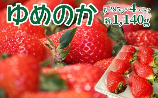 <2025年12月頃〜2026年2月頃発送(予定)>【ゆめのか 285g×4パック】秀品 いちご 苺 ストロベリー 贈答用 ギフト高知県佐川町16000果物・フルーツいちご