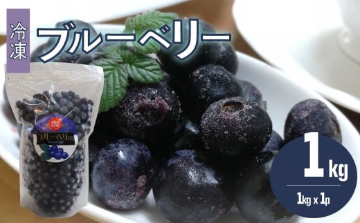 【ブルーベリー(冷凍)1kg】フルーツ くだもの 高知県 佐川町 果物 冷凍ブルーベリー 常備果物 <発送まで最大で4〜6ヶ月程度お待たせする事があります(申込状況により遅れる場合が