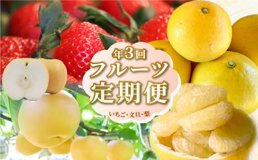 iSRj쒬Yt[c R5@  U m쒬38000ʕEt[c