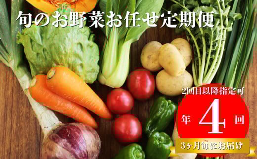 【年4回】高知から直送!旬の季節のお野菜定期便(7~9品)2回目以降着日指定可能 産地直送 旬の時期にお届け高知県佐川町38000野菜・きのこその他 野菜