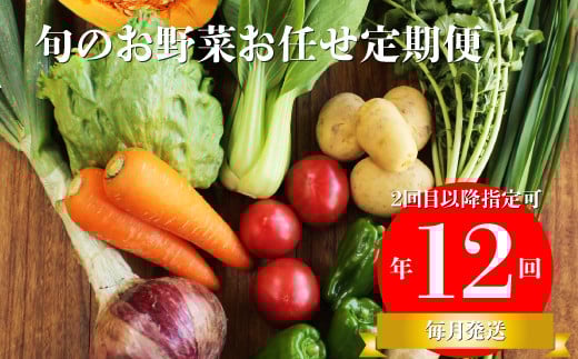 【年12回】高知から直送!旬の季節のお野菜定期便(7~9品)2回目以降着日指定可能 産地直送 旬の時期にお届け高知県佐川町114000野菜・きのこその他 野菜