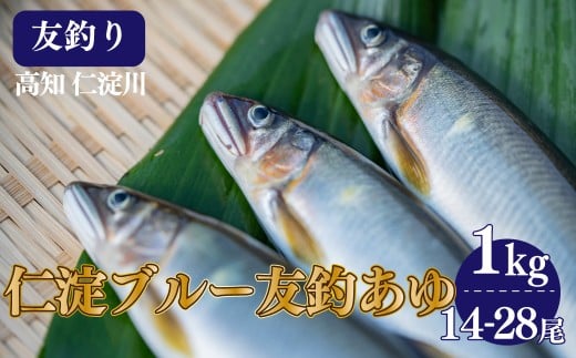 【14-28尾】有名料亭も絶賛!鮎屋仁淀川の仁淀ブルー友釣り天然鮎1000g高知県佐川町44000魚介・海産物鮮魚
