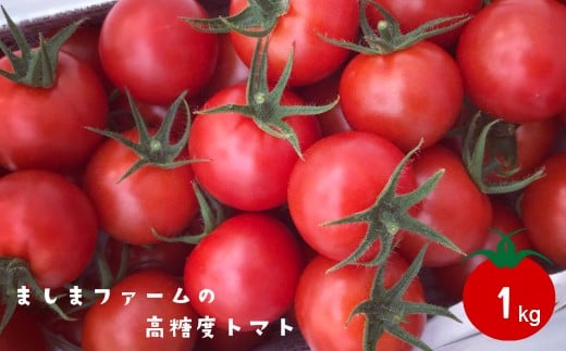 【2025年12月〜2026年7月頃発送】高糖度ミニトマト<約1kg> 秀品  フルティカ アイメック? ましまファーム フルーツトマト【化粧箱入/プレゼント・ギフト・贈答用に】高知県佐川町26000野