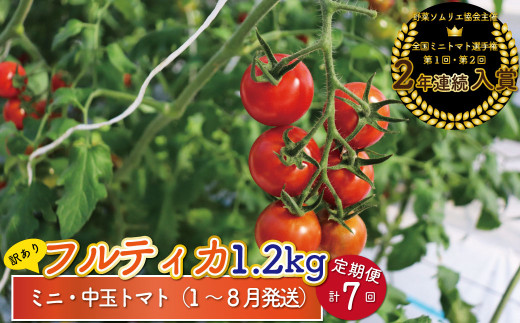 y2026N1`8z1.2kg×7 ց󂠂 ACbN teBJ g}g܂܃t@[ ~jg}g t[cg}g  P KiOm쒬90000؁Êg}g