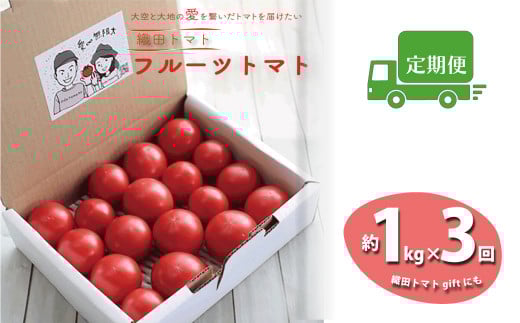 <<2026年発送>>【3回定期便】フルーツトマト 1kg×3回『合計3kg』 織田トマト 高知  牧野富太郎博士の好物 <毎年2月末頃まで申込受付>【1月頃〜5月頃の間に3回お届け】高知県佐川町3100
