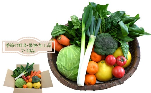 はちきんの店 野菜 セット 7~10品 野菜詰め合わせ 詰合せ 高知の野菜 旬の野菜 高知県佐川町13000野菜・きのこその他 野菜