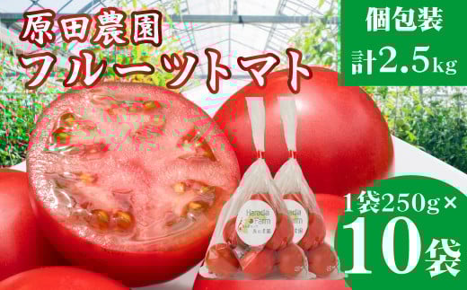 【2025年12月下旬〜5月頃発送】<秀品 A品 フルーツトマト 原田農園 約2.5kg 個包装 1袋250g×10袋> 桃太郎  高知県 佐川町高知県佐川町17000野菜・きのこトマト