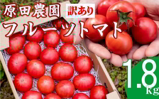 【2025年12月下旬〜5月頃発送】<訳あり フルーツトマト 原田農園 約1.8kg 箱入> 桃太郎 家庭用 ワケあり 変形 キズあり 高知県 佐川町高知県佐川町9500野菜・きのこトマト