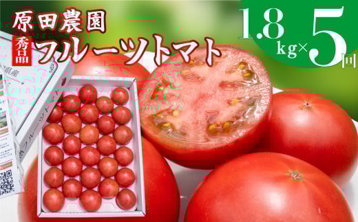 <2025年12月下旬頃より順次発送>【5回定期便】フルーツトマト 原田農園 約1,800g 大箱(12月下旬〜5月頃発送)高知県佐川町70000野菜・きのこトマト