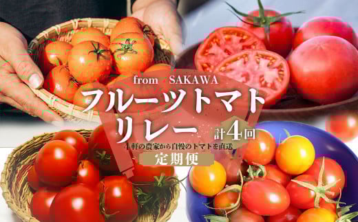 <フルーツトマト 計4回 定期便> 4農家からリレーでお届け高知県佐川町45000野菜・きのこトマト